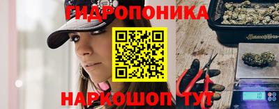 jwh Кимры