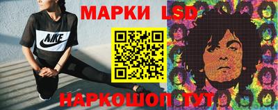 МДПВ Кингисепп