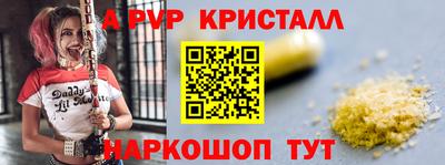МДПВ Кингисепп