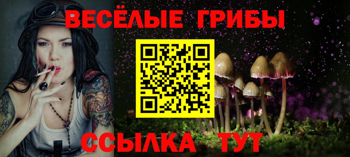 Галлюциногенные грибы MAGIC MUSHROOMS  Вход с VPN  Котлас  Галлюциногенные грибы ЛСД 